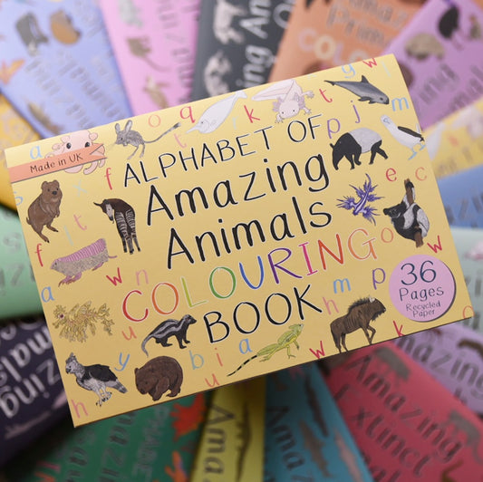 Alphabet of Amazing Animals Colouring Book